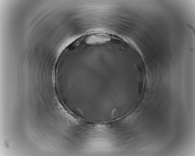 X0000102490839200808151454