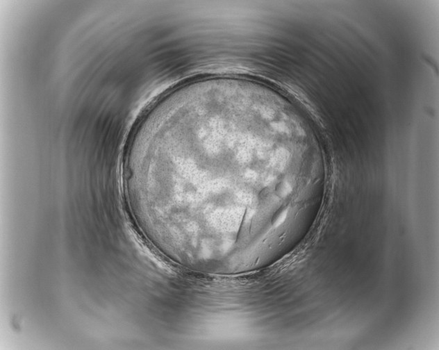 X0000102490840200808151454