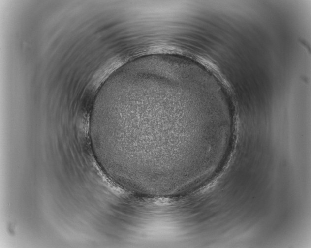 X0000102490841200808151454