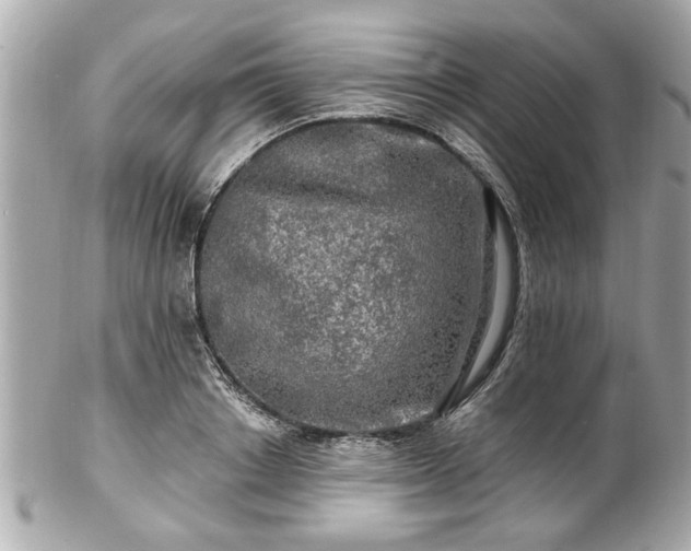 X0000102490842200808151454