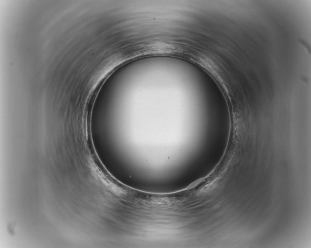 X0000102490843200808151454