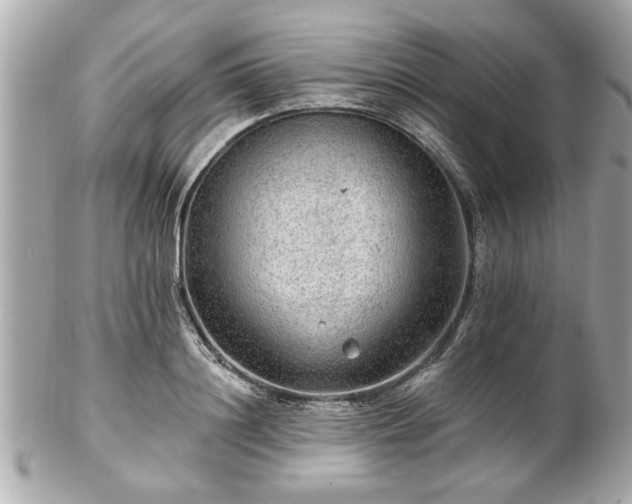 X0000102490844200808151454