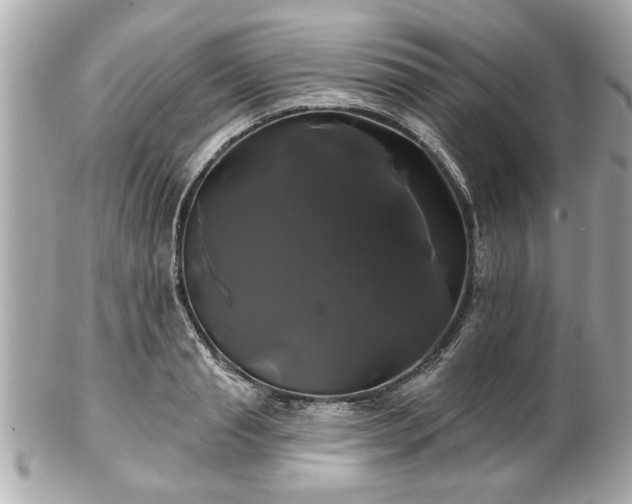 X0000102490845200808151454