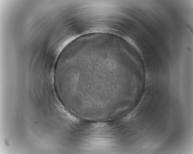 X0000102490846200808151454