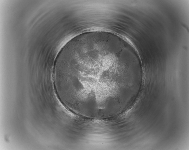 X0000102490847200808151454