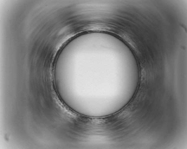 X0000102490848200808151454