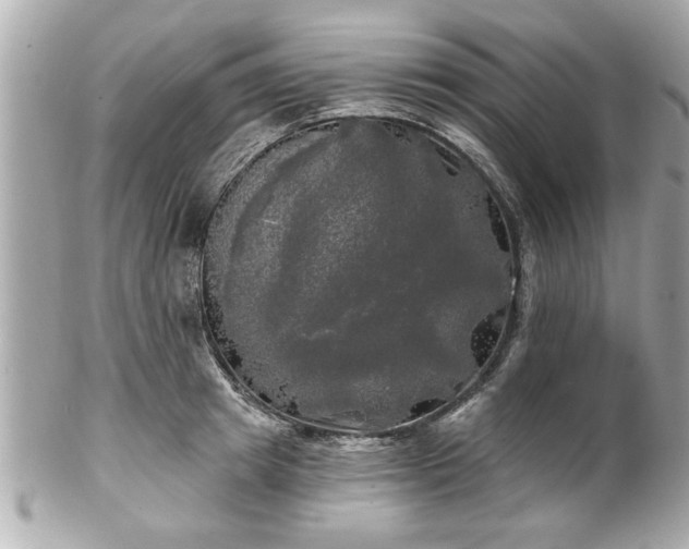 X0000102490849200808151454