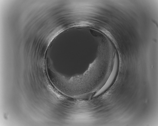 X0000102490850200808151454