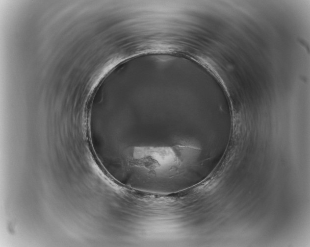 X0000102490851200808151454