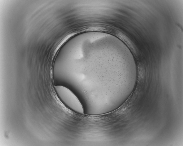 X0000102490852200808151454