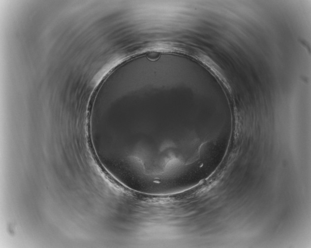 X0000102490853200808151454