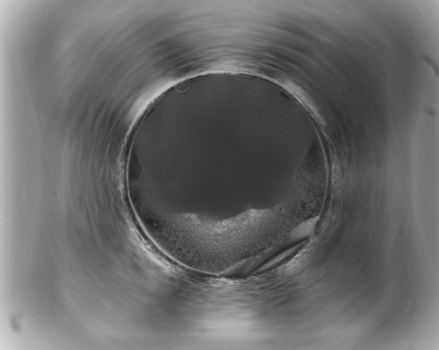 X0000102490854200808151454