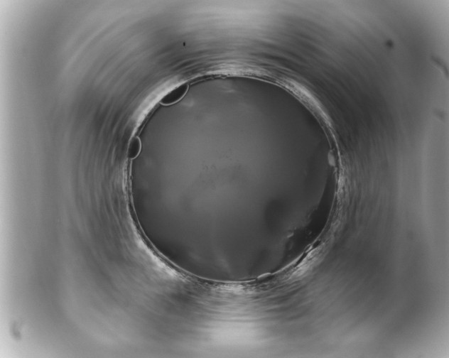 X0000102490855200808151454