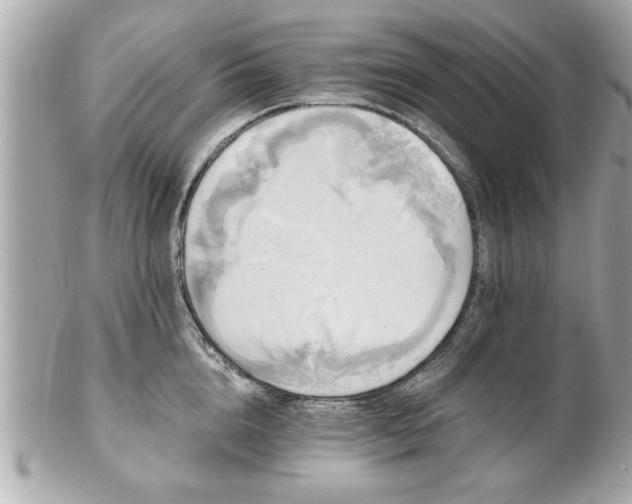 X0000102490856200808151454