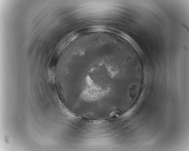 X0000102490857200808151454