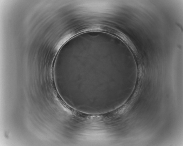 X0000102490858200808151454