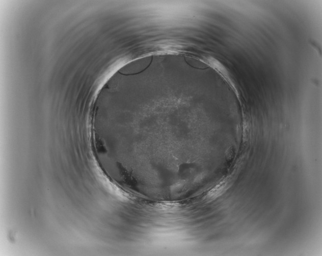 X0000102490859200808151454