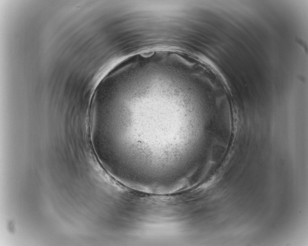 X0000102490860200808151454