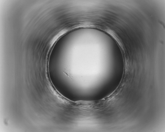 X0000102490861200808151454