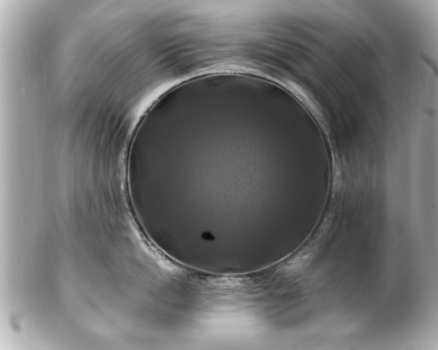 X0000102490862200808151454