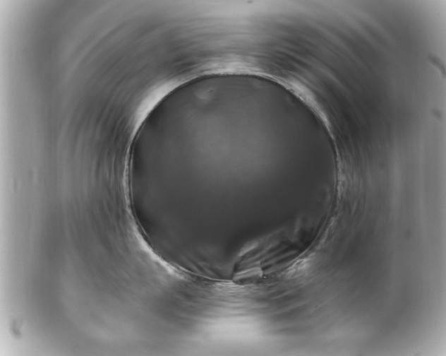 X0000102490863200808151454