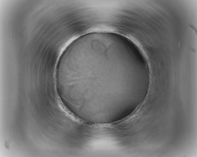 X0000102490864200808151454