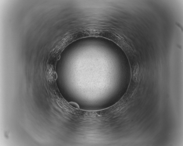 X0000102490866200808151454