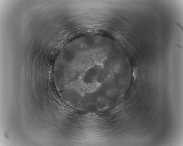 X0000102490867200808151454