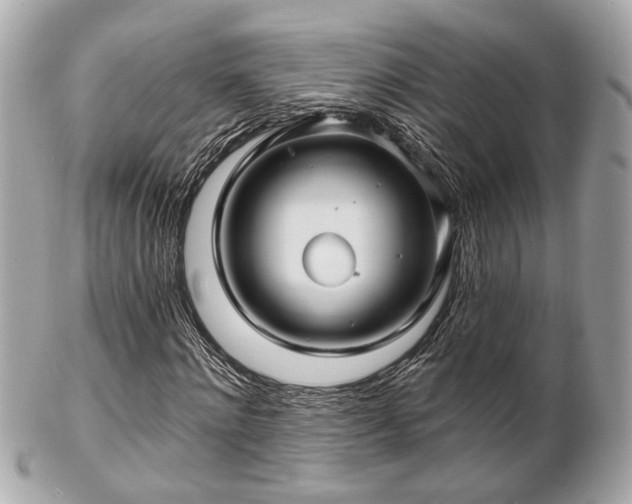 X0000102490868200808151454