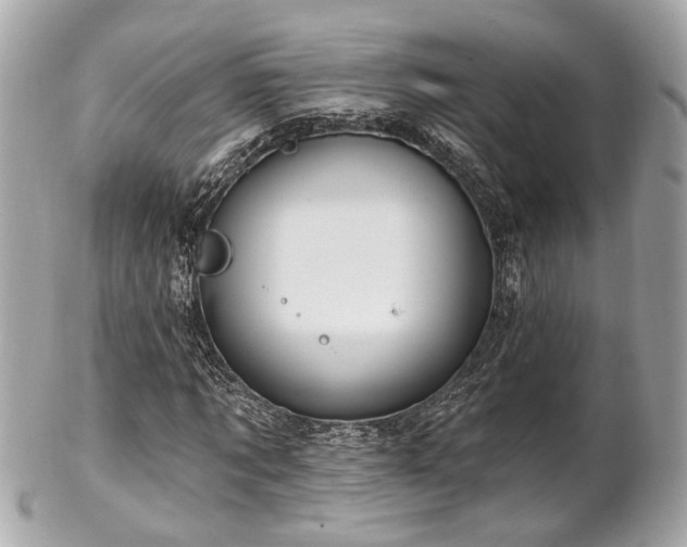 X0000102490869200808151454