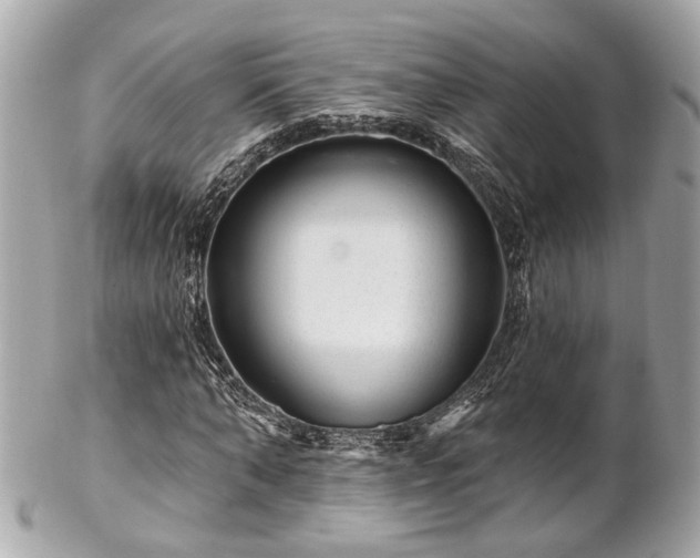 X0000102490870200808151454