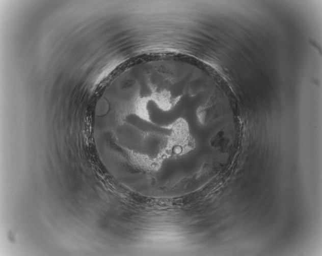 X0000102490871200808151454