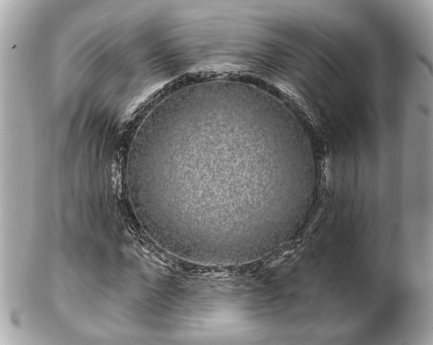 X0000102490872200808151454