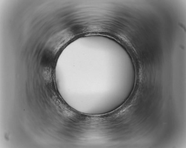 X0000102490873200808151454