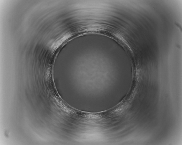 X0000102490874200808151454