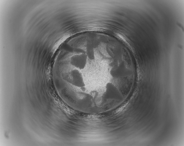 X0000102490875200808151454