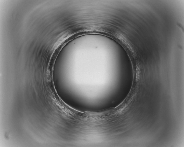 X0000102490876200808151454