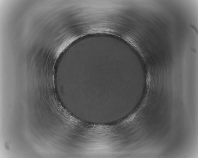 X0000102490877200808151454