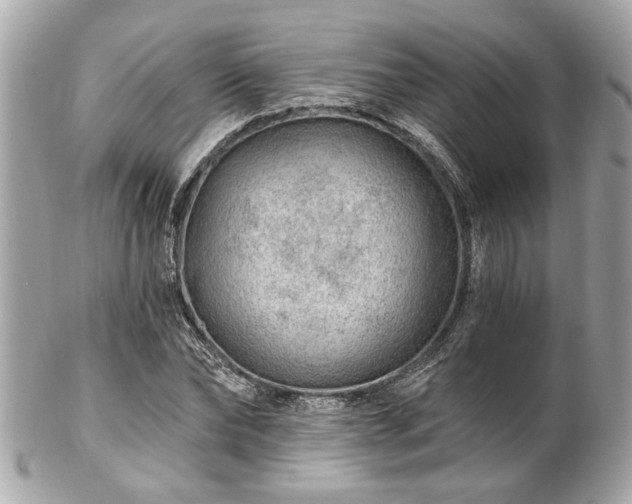 X0000102490878200808151454