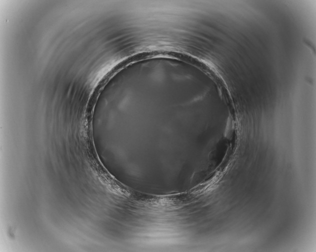 X0000102490879200808151454