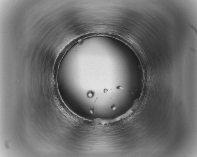 X0000102490880200808151454