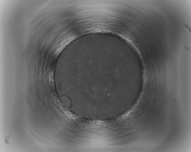 X0000102490881200808151453