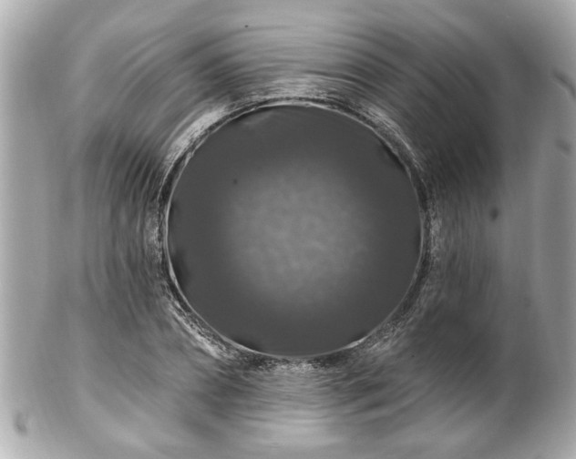 X0000102490882200808151453