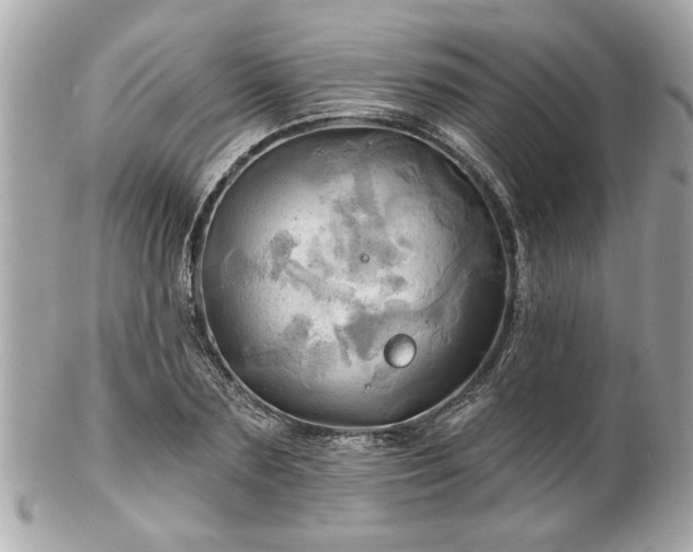 X0000102490883200808151453