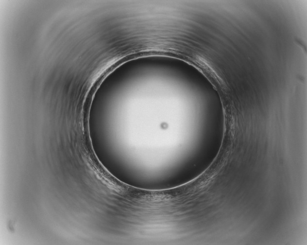 X0000102490884200808151453