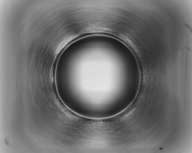 X0000102490885200808151453