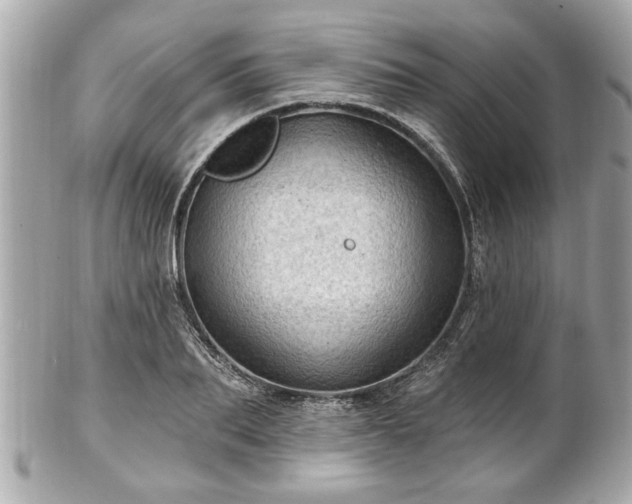 X0000102490887200808151453