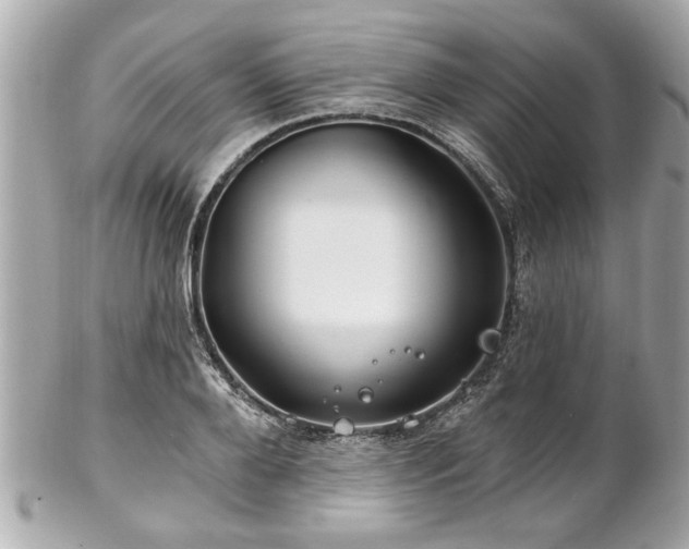 X0000102490888200808151453