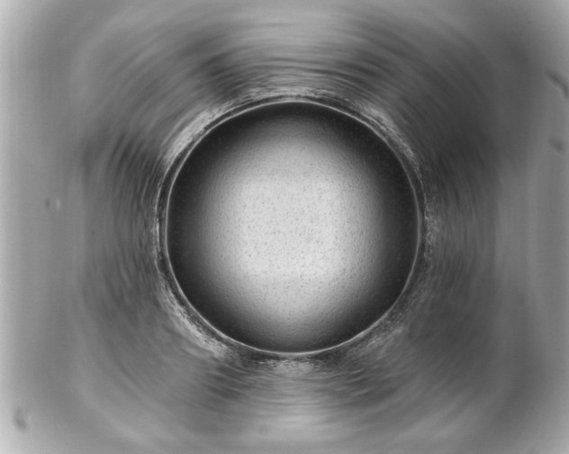 X0000102490890200808151453