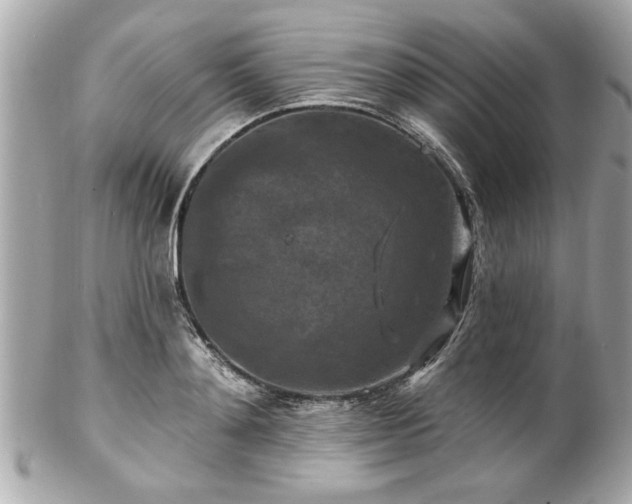 X0000102490892200808151453